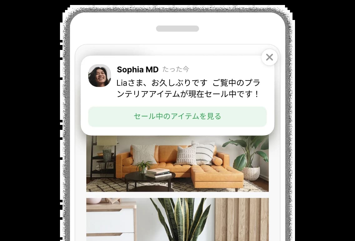 crm-preview-2