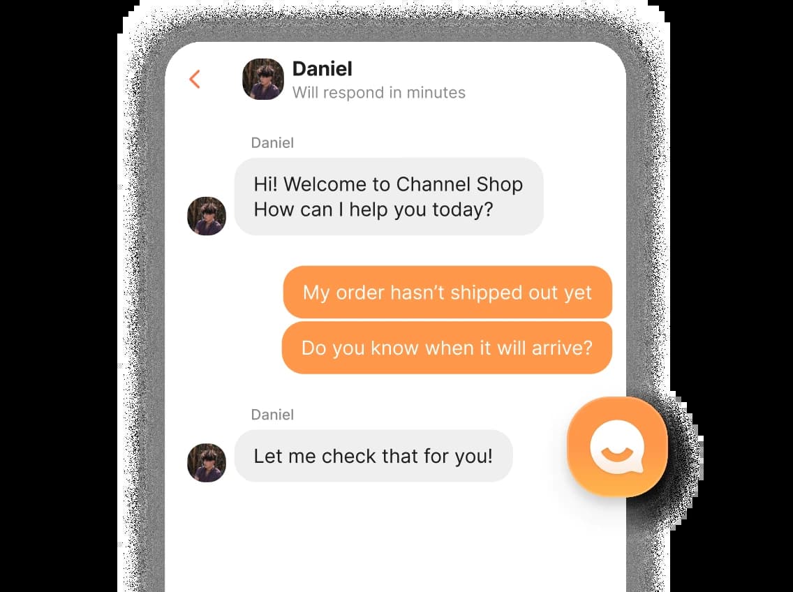 customer-preview-2